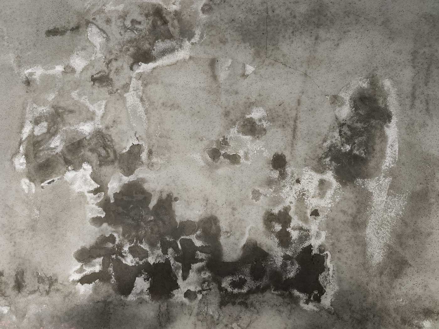 budj-1