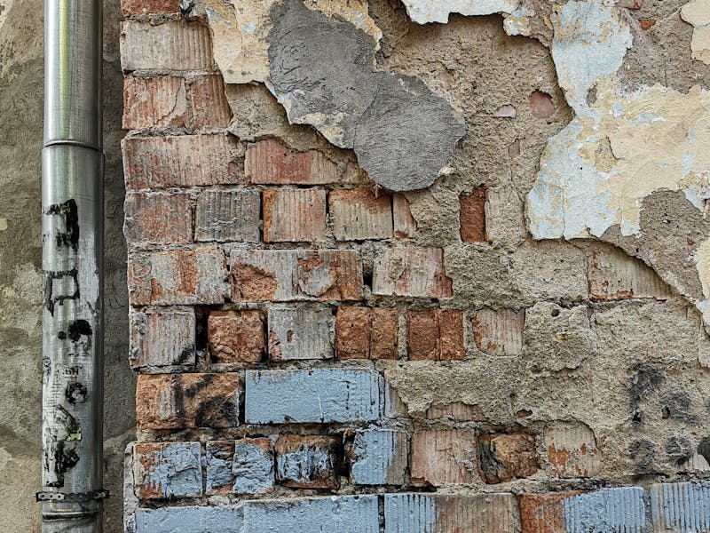 pexels-photo-8616746-1